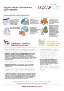 Hogyan védjük a társállatokat a parazitáktól