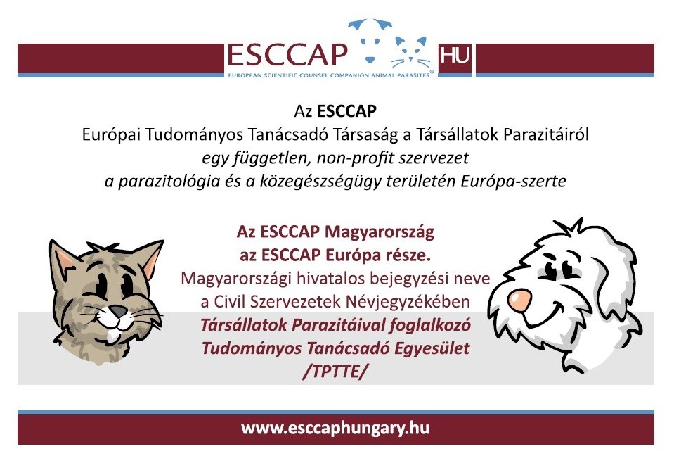 Az ESCCAP Magyarország az ESCCAP Európa része