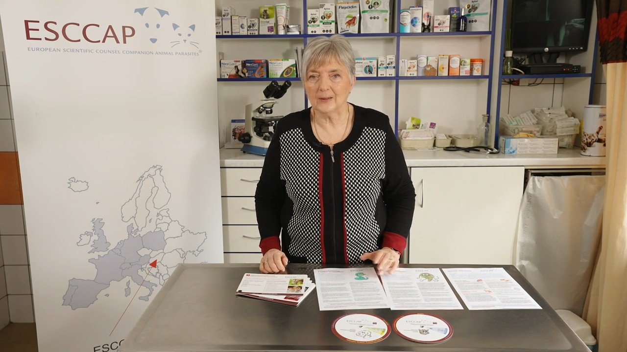 Kutyák és a macskák egysejtű élösködői (részlet az "Életmódi Magazin"-ból)